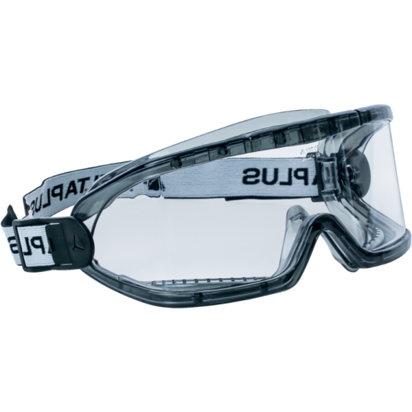 Delta Plus clear goggles